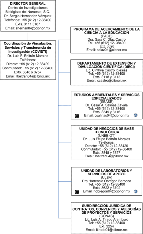COVISTI Organizational Chart