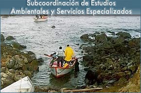 Assistant Coordinator's Office of Environmental Studies and Specialized Services
