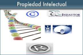 Propiedad Intelectual