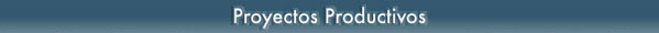 Proyectos Productivos