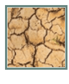 Dry Land Areas