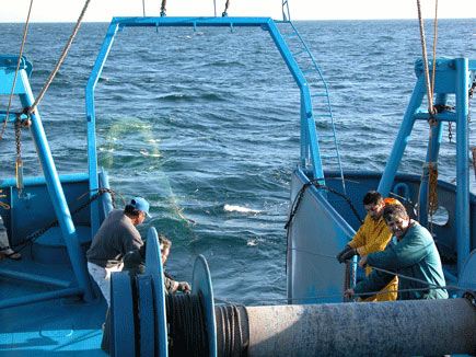 Barco en pesca Barco en pesca