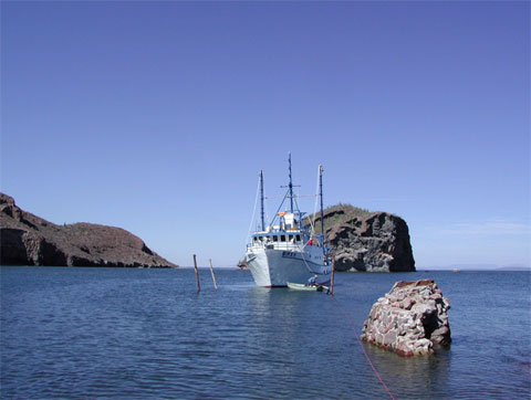 BIP 12 in the island BIP 12 in the island