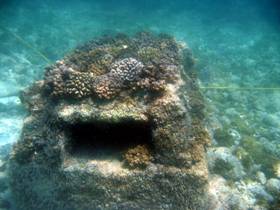 Artificial reef