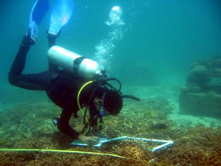 Diver measuring Diver measuring