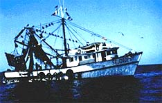 Barco pesquero