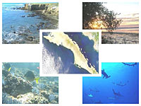 Biodiversidad y vulnerabilidad en ecosistemas marinos costeros