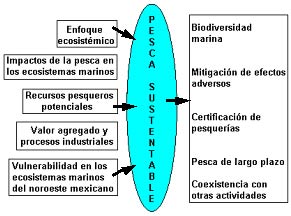 Sustainable fishing chart Sustainable fishing chart