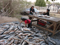 Familia de pescadores Familia de pescadores