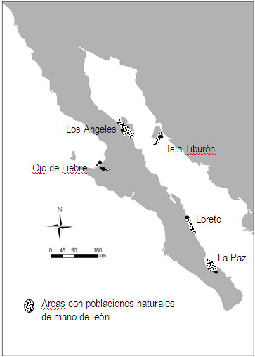 Mapa sobre población almeja mano de león Mapa sobre población almeja mano de león