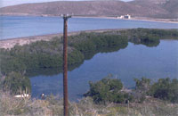 Manglar Enfermería 1982 Manglar Enfermería 1982
