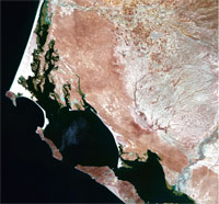 Bahía Magdalena