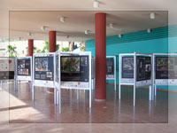 Exposición en Coromuel