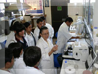 Actividad en Laboratorio