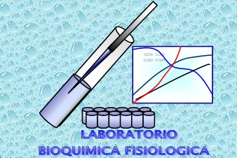 Laboratorio de Bioquímica Fisiológica Laboratorio de Bioquímica Fisiológica