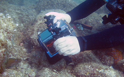 Diving services Diving services