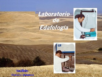 Laboratory sataff