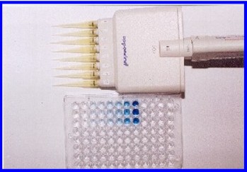Soils testing services