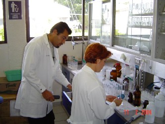 Laboratory staff
