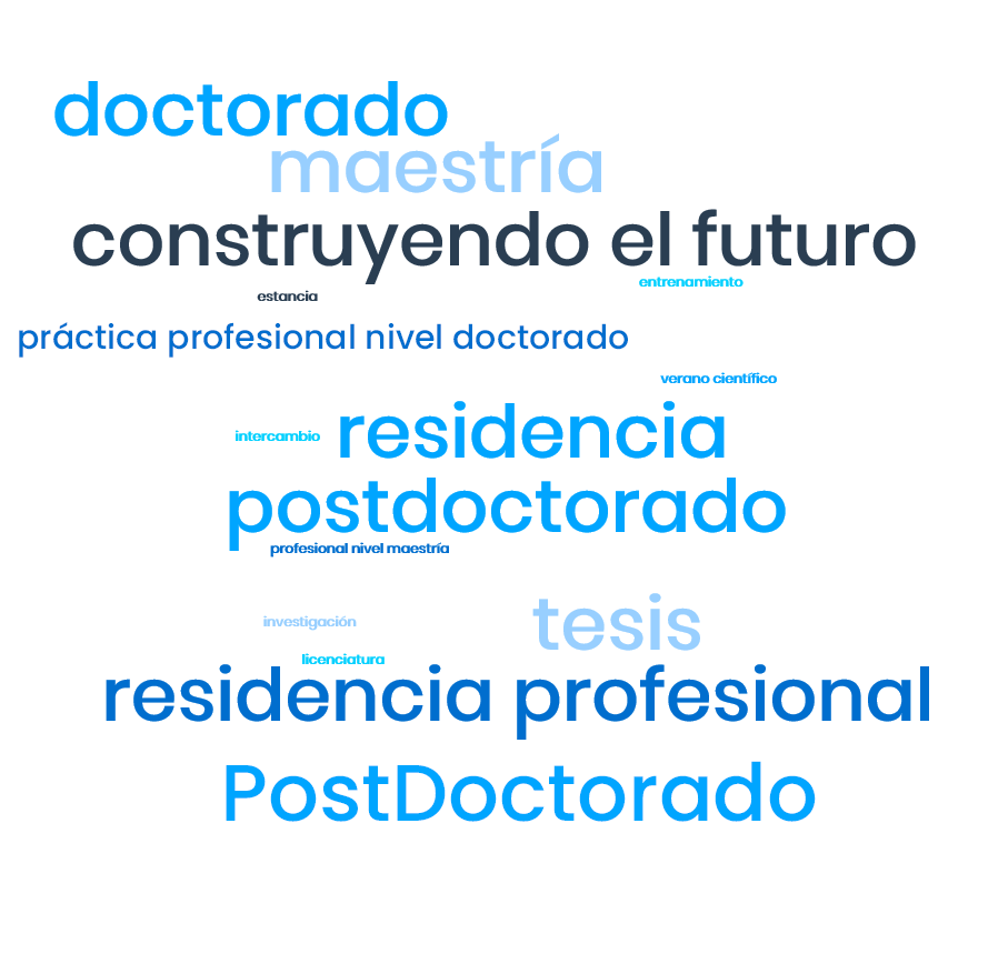 wordcloud internos