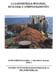 Libro #11