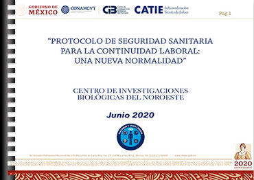 Protocolo seguridad