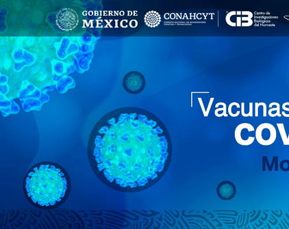 Material Consulta vacunación