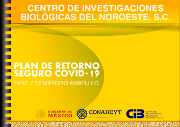 Retorno seguro