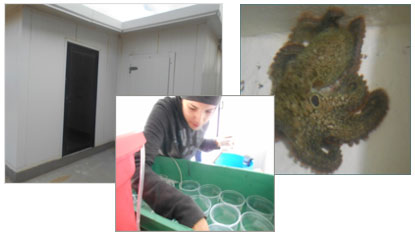 Lab acui1