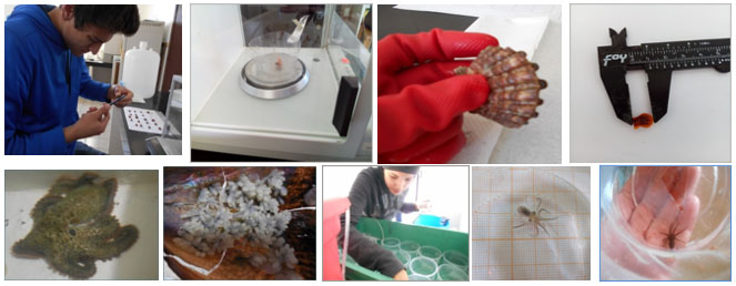 Lab acui2