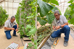 agroecologia1