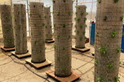 agroecologia2