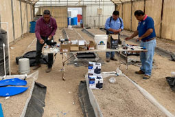 agroecologia4