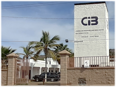 cibnor unidad guaymas acceso principal