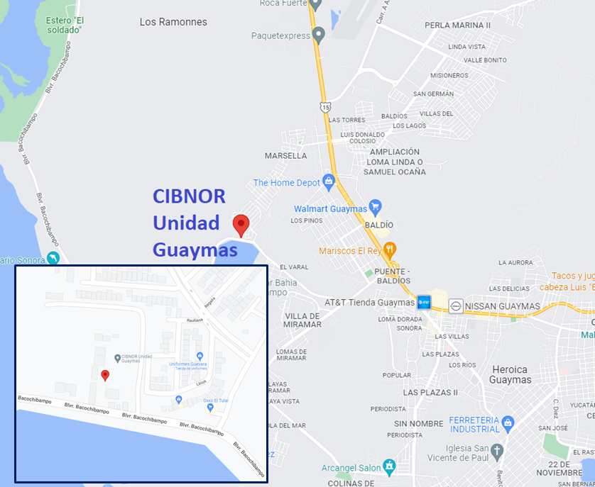 Ir a google maps