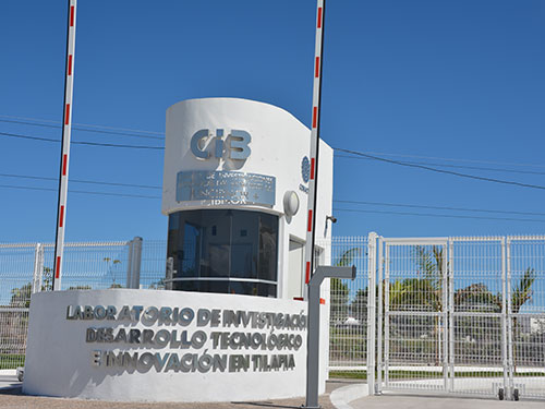 Cimentación y construcción de los estanques para los invernaderos