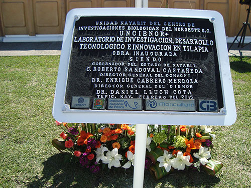 Obra terminada