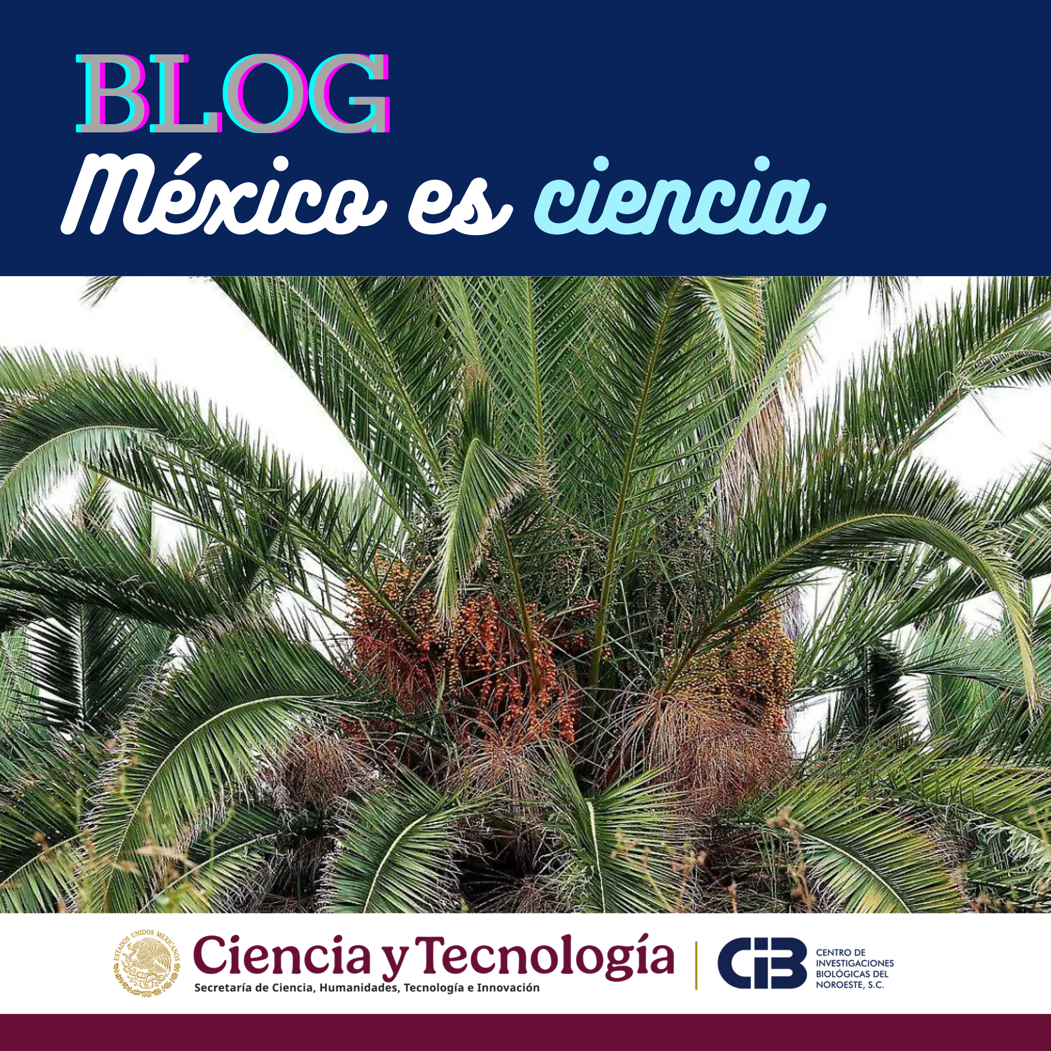 Blog Mexico es ciencia 1