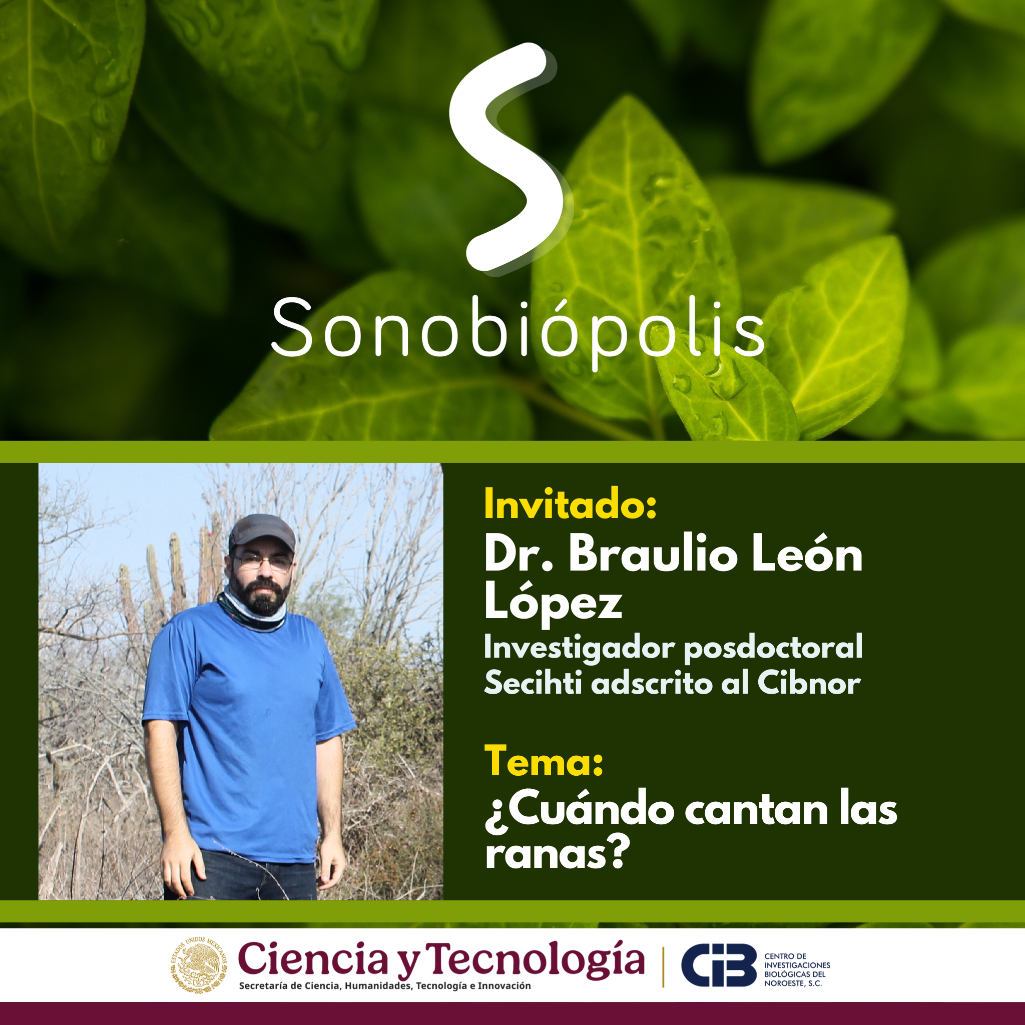 Copia de 1