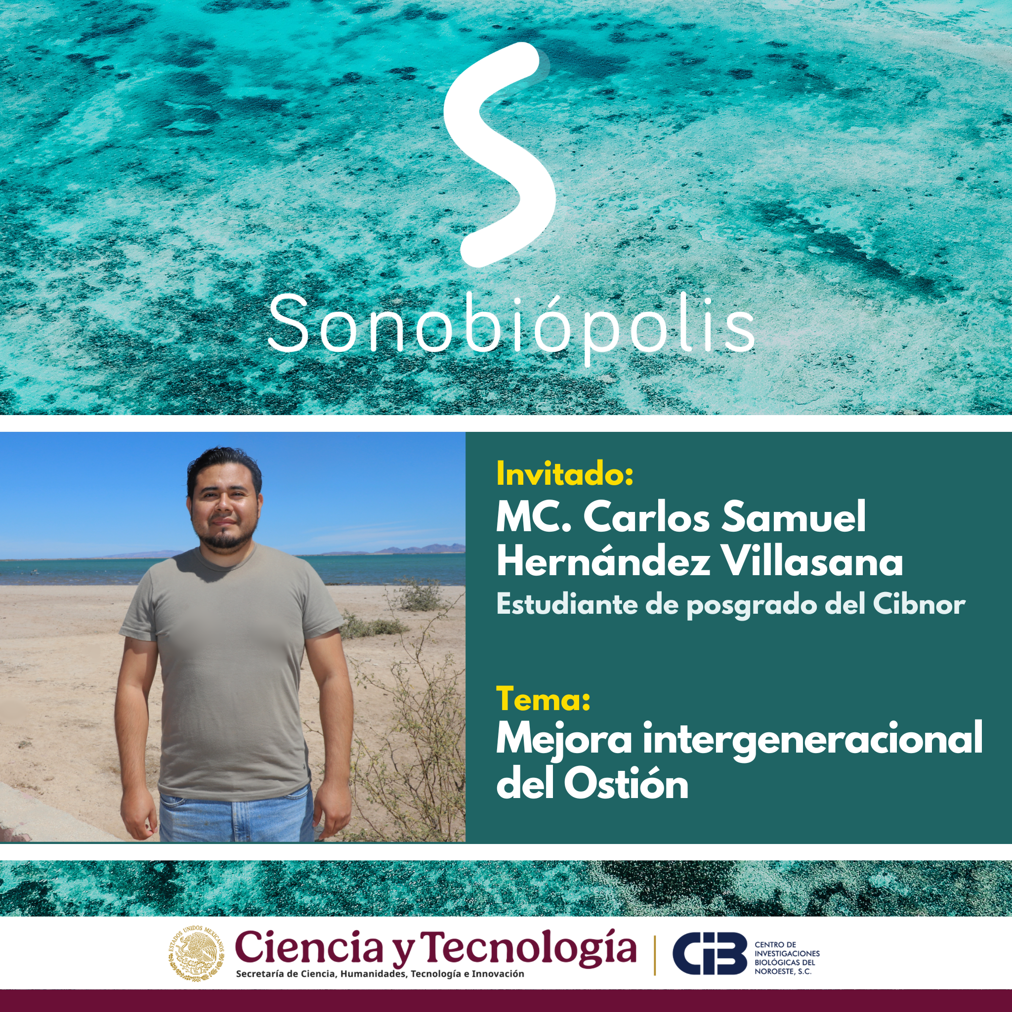 Sonobiópolis 11