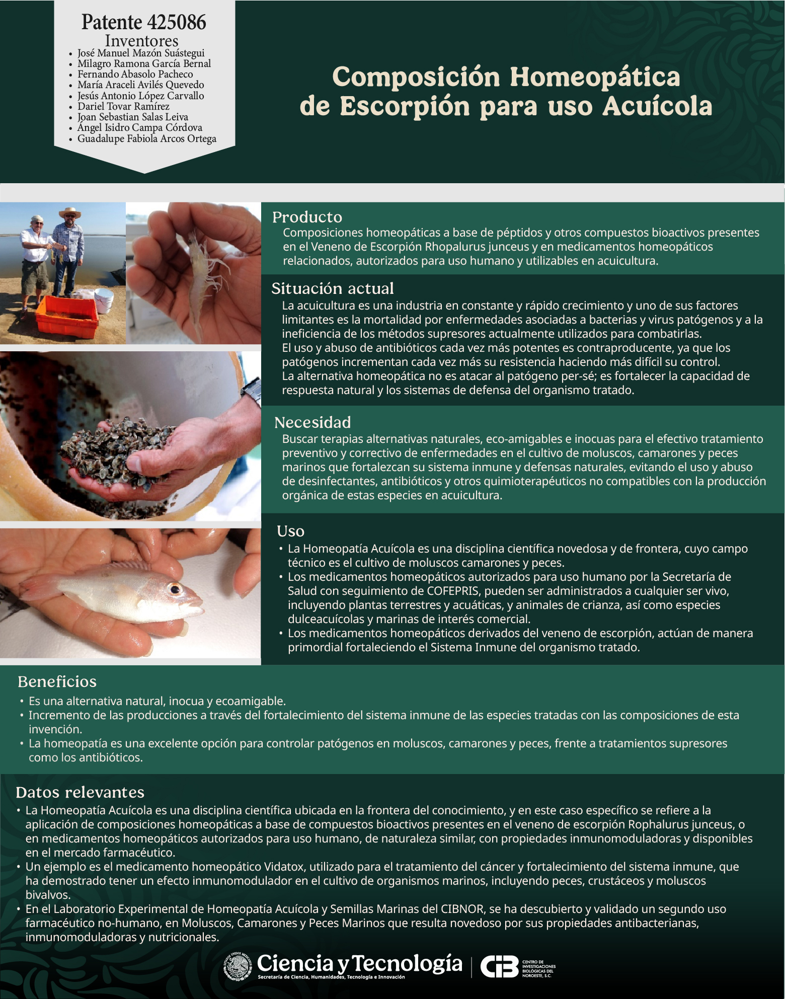 patente . 425086 100