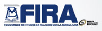 FIRA