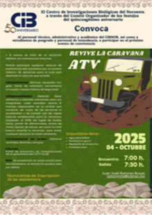 ATV