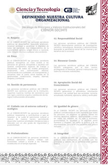 decalogo