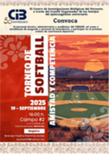 softball