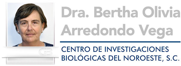 Arredondo