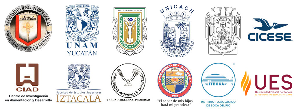 logos inst