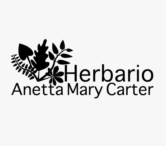 Herbario