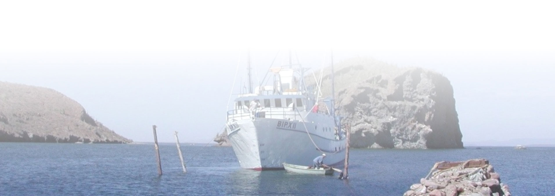 ecologia pesquera