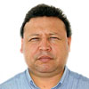 Arreola